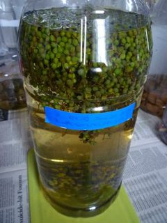 実山椒酒を作ってみる-レシピのメイン写真