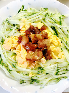 ミニ照り焼きチキンのせ冷やし中華-レシピのメイン写真