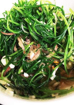 おかひじきの紫蘇と茗荷和え-レシピのメイン写真