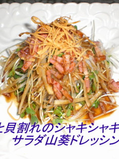 大根と貝割れにシャキシャキサラダ-レシピのメイン写真