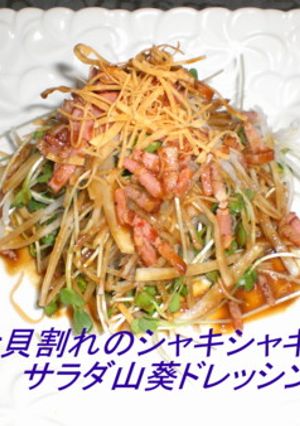 大根と貝割れにシャキシャキサラダ-レシピのメイン写真
