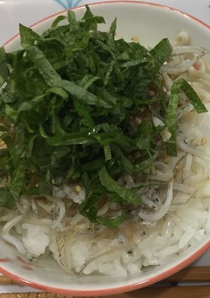 小腹満たしシラスご飯-レシピのメイン写真