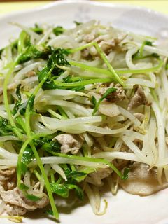 簡単☆豚もやしと豆苗のニンニク炒め-レシピのメイン写真
