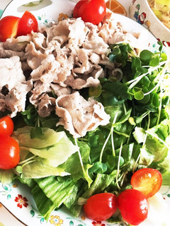 お肉柔らか!冷しゃぶサラダ-レシピのメイン写真