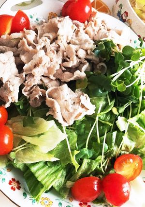 お肉柔らか！冷しゃぶサラダ-レシピのメイン写真