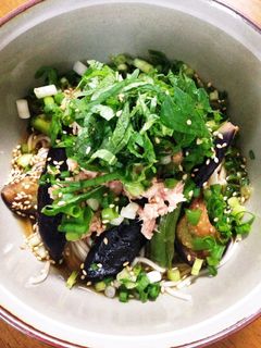 なすのたたきのっけ素麺-レシピのメイン写真