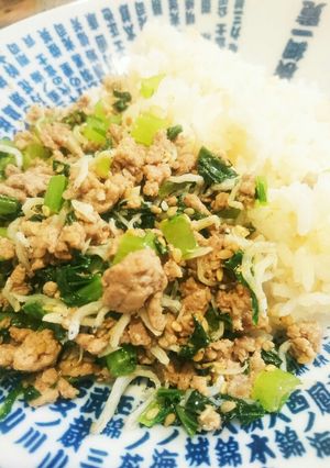 大好評★豚とシラスと小松菜炒め-レシピのメイン写真