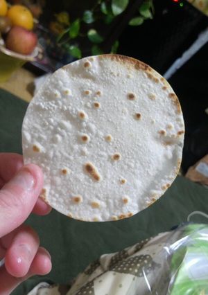 餃子の皮焼いただけ〜-レシピのメイン写真
