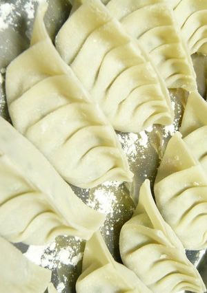 一番おいしい✽餃子-レシピのメイン写真