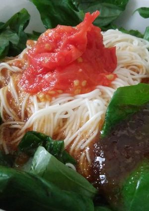 サラダそうめん　カッペリーニ風-レシピのメイン写真