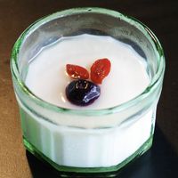 基本からアレンジまで！思わずつくりたくなる「杏仁豆腐 杏仁」の