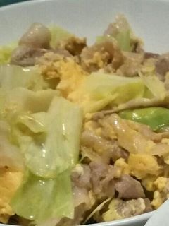 豚肉とキャベツのマヨ炒め-レシピのメイン写真
