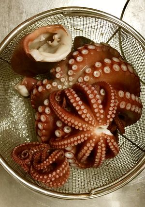 タコの下処理-レシピのメイン写真