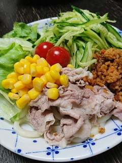 暑い日もモリモリ!冷しゃぶサラダうどん-レシピのメイン写真