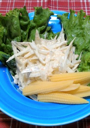 七味が決め手！おつまみごぼうサラダ！-レシピのメイン写真