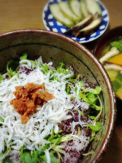 のせるだけ★簡単♪おいしい☆梅しらす丼-レシピのメイン写真