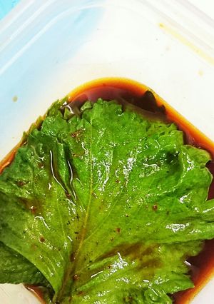 韓国風シソの醤油漬け-レシピのメイン写真