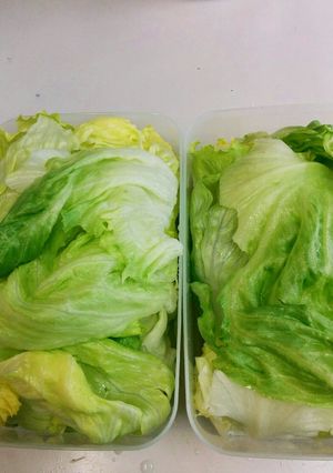 すぐ使える！　レタスの保存方法-レシピのメイン写真