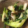茹でる手間ナシ 揉むだけ青梗菜のおひたし