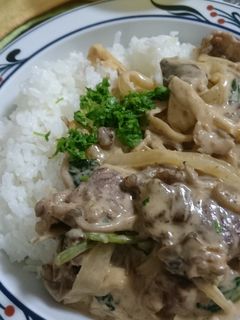 フライパンで10分!ビーフストロガノフ-レシピのメイン写真