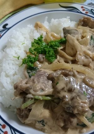 フライパンで10分！ビーフストロガノフ-レシピのメイン写真