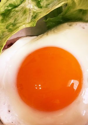 黄身がキレイな目玉焼き＊-レシピのメイン写真