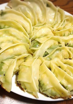 大葉を使ったさっぱり餃子-レシピのメイン写真
