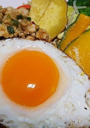 ガパオライスもどき 日本人向け味-レシピのメイン写真