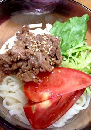 ぶっかけ牛肉サラダうどん-レシピのメイン写真