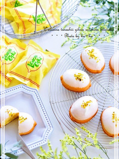 チーズバニラのレモンケーキ-レシピのメイン写真