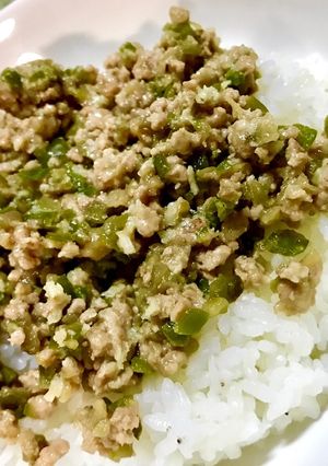 子どもにも好評☆ナスとピーマンのそぼろ丼-レシピのメイン写真