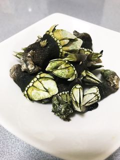 簡単 亀の手の塩茹で-レシピのメイン写真