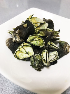 簡単 亀の手の塩茹で-レシピのメイン写真