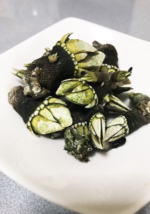 簡単 亀の手の塩茹で-レシピのメイン写真