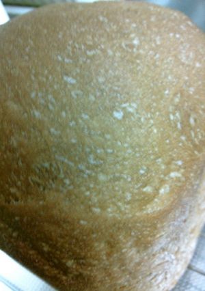 HBにおまかせ青汁ココア食パン♪-レシピのメイン写真