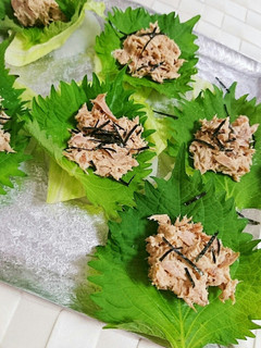 簡単‼ツナと大葉 大根のカナッペ風-レシピのメイン写真