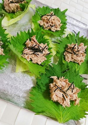 簡単‼ツナと大葉 大根のカナッペ風-レシピのメイン写真