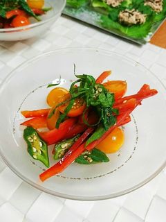 簡単‼夏野菜のさっぱり和え☆-レシピのメイン写真