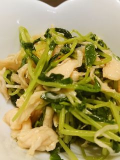 豆苗とササミの和えもの-レシピのメイン写真