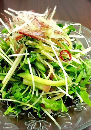 【夏バテ解消】薬味野菜のさっぱりサラダ-レシピのメイン写真