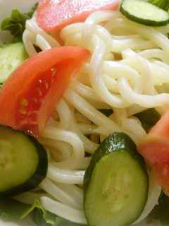 夏野菜いっぱい☆サラダうどん-レシピのメイン写真