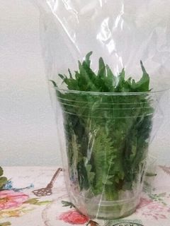 大葉(しそ)保存♪長持ち1ヶ月経過-レシピのメイン写真