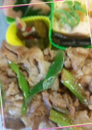 梅雨時の生姜焼き弁当＊ひと工夫-レシピのメイン写真