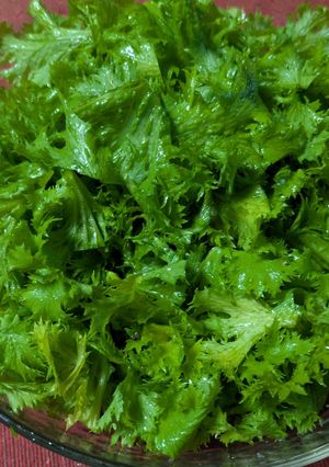 わさび菜のオリーブオイルのサラダ-レシピのメイン写真
