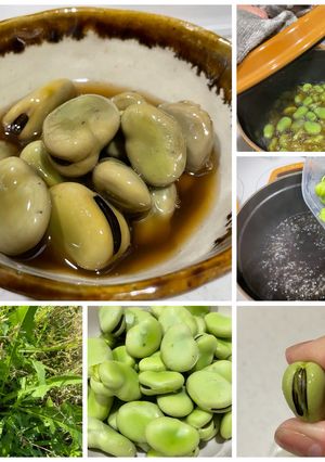 そら豆煮（2026）-レシピのメイン写真