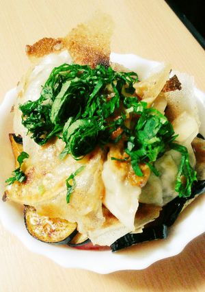 餃子と夏野菜のサラダ丼-レシピのメイン写真