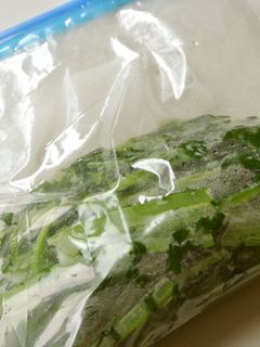 大根葉の冷凍保存方法-レシピのメイン写真