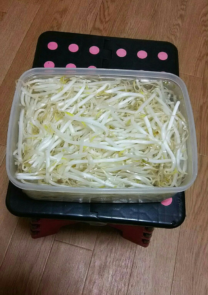 長持ちさせるもやし保存方法♪-レシピのメイン写真