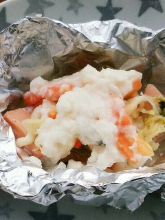 犬ご飯 鮭のホイル焼き-レシピのメイン写真