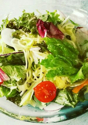 サラダパックで簡単時短❗サラダ冷やし中華-レシピのメイン写真
